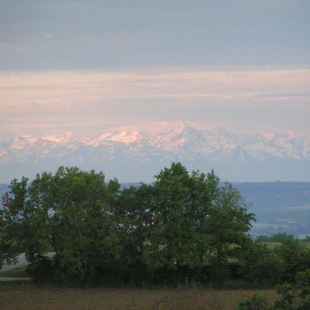 Au Milieu Des Champs Hotel Lectoure Kültér fotó