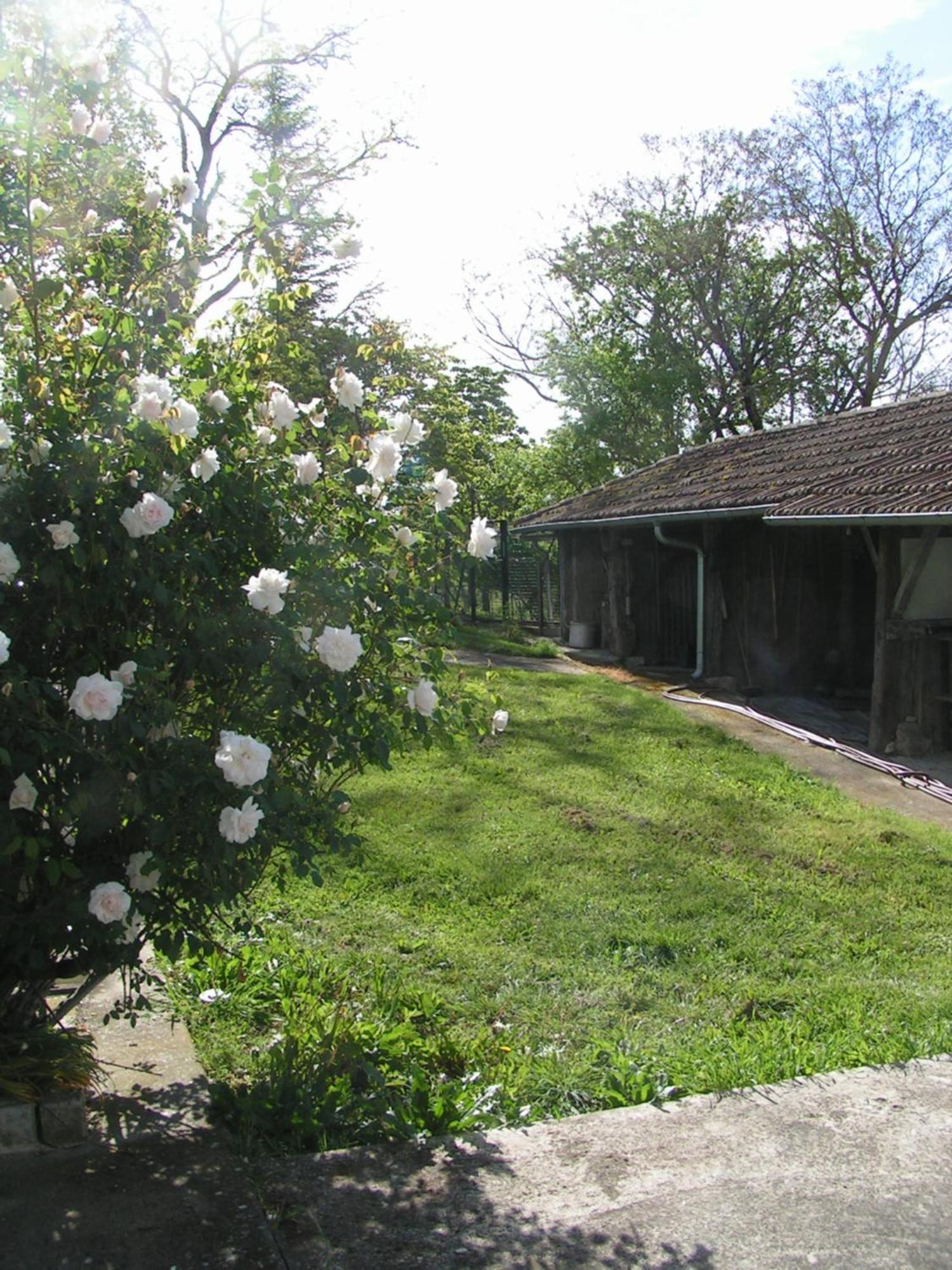 Au Milieu Des Champs Hotel Lectoure Kültér fotó